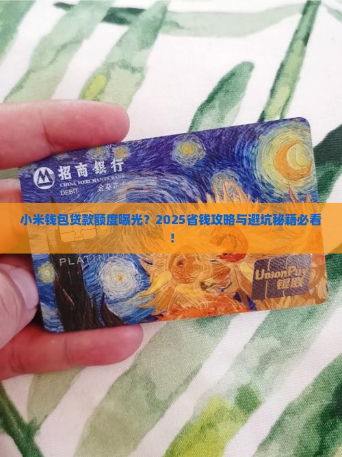小米钱包贷款有额度