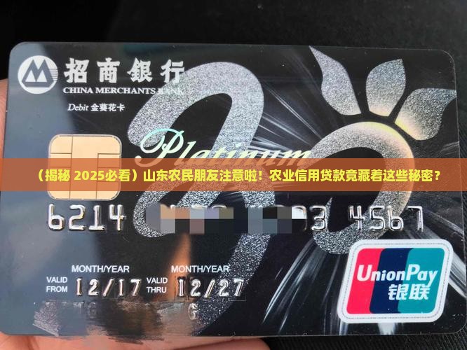 山东省农业信用贷款
