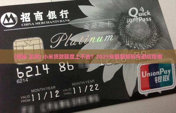 小米贷款用不了