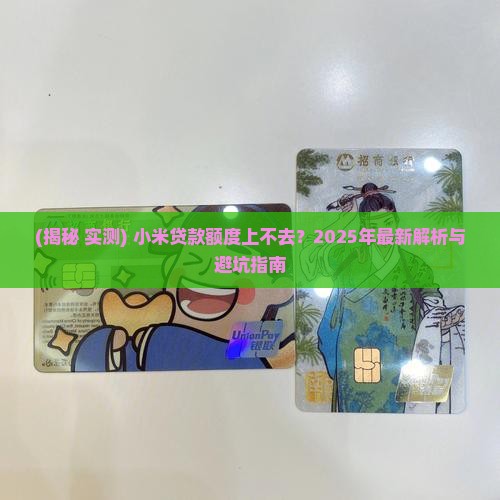 小米贷款用不了