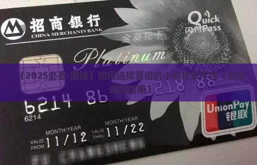 合理的小额贷款平台