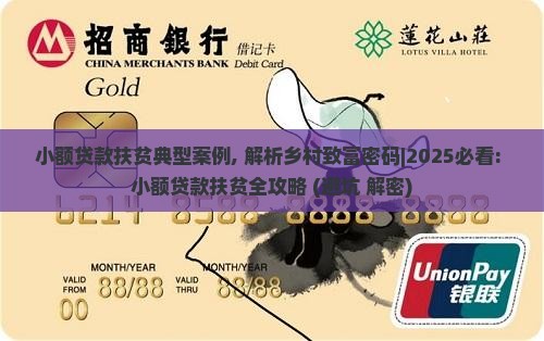 小额贷款扶贫典型案例