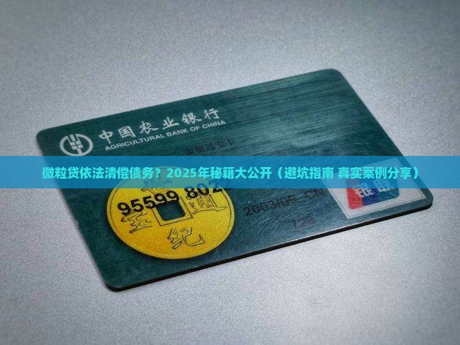 微粒贷依法贷款清偿