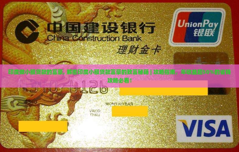 印度做小额贷款的富豪