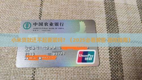 小米贷款还不起要紧吗