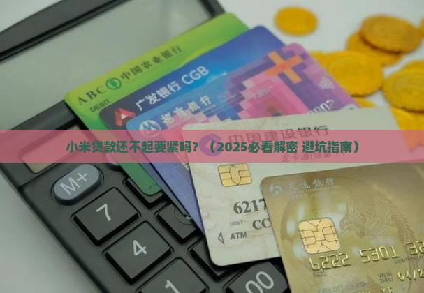 小米贷款还不起要紧吗
