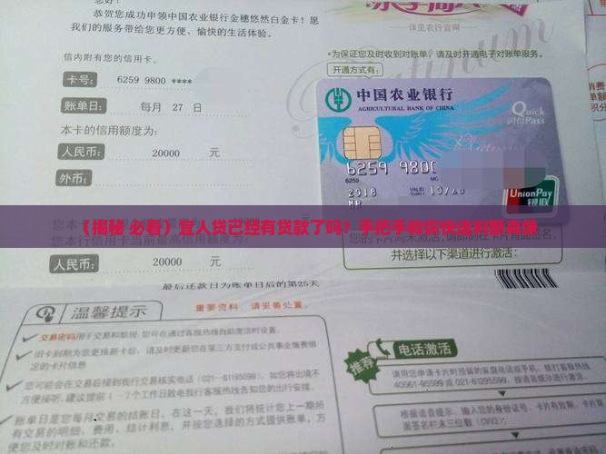 宜人贷已经有贷款吗