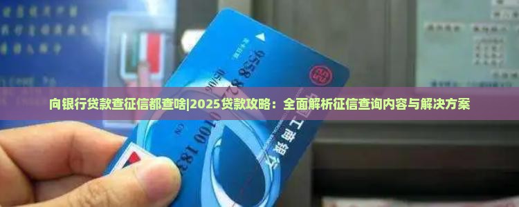 向银行贷款查征信都查啥