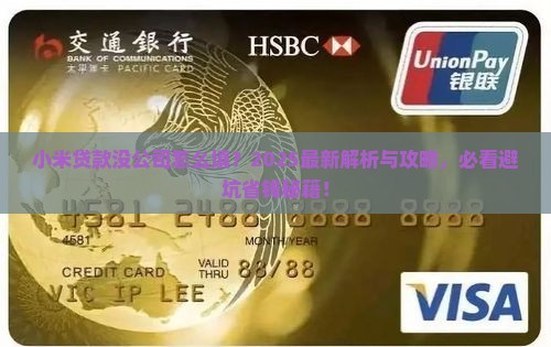 小米贷款没公司怎么填