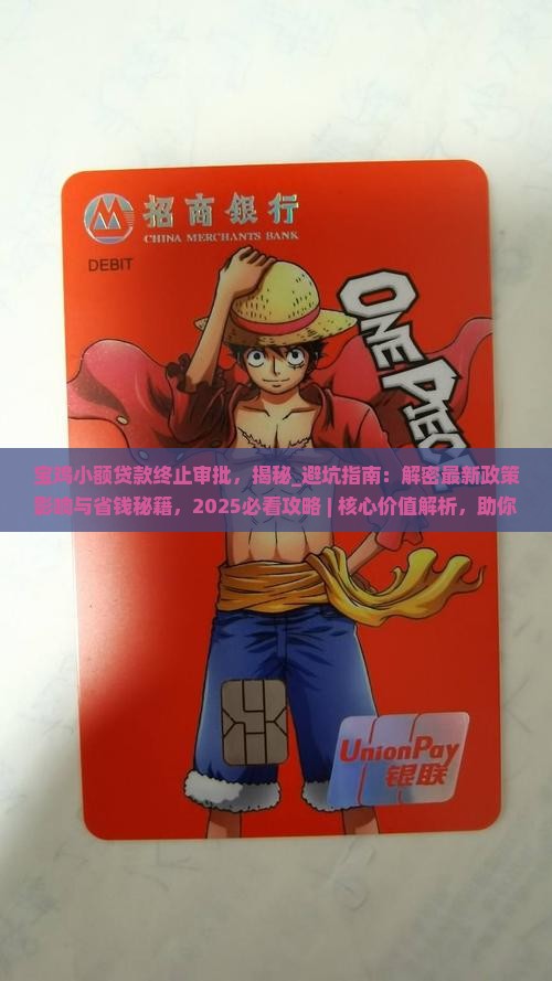宝鸡小额贷款终止审批