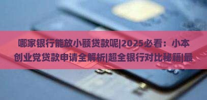 哪家银行能放小额贷款呢