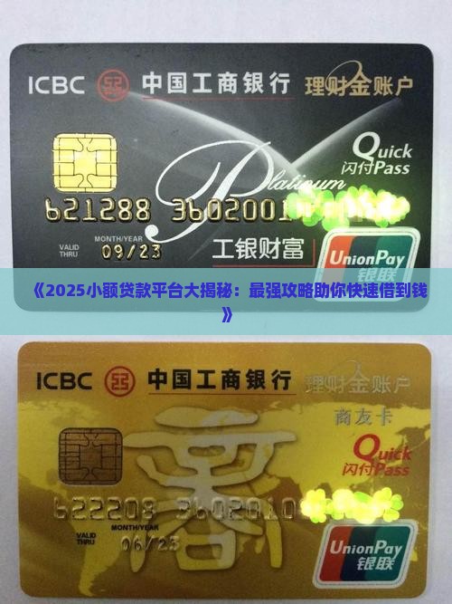 小额信用贷款哪家 小额信用贷款哪家