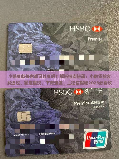 小鹅贷款每家都可以贷