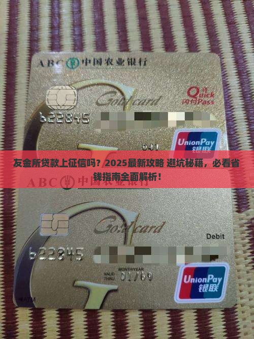 友金所贷款上征信