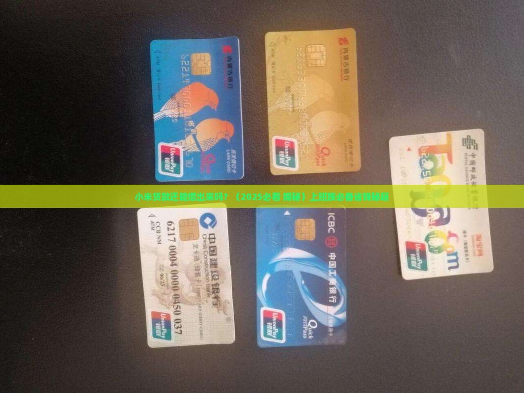 小米贷款还能借出来吗