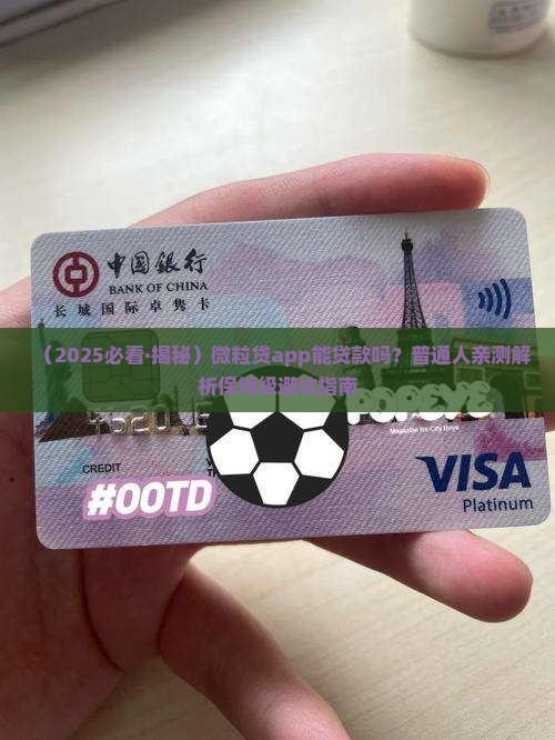 微粒贷app可以贷款么