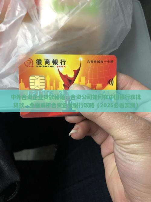 合资公司给我个贷款
