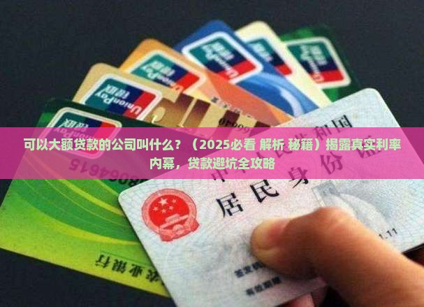 可以大额贷款的公司叫什么