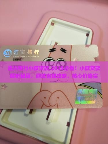 嘉兴银行小微贷款