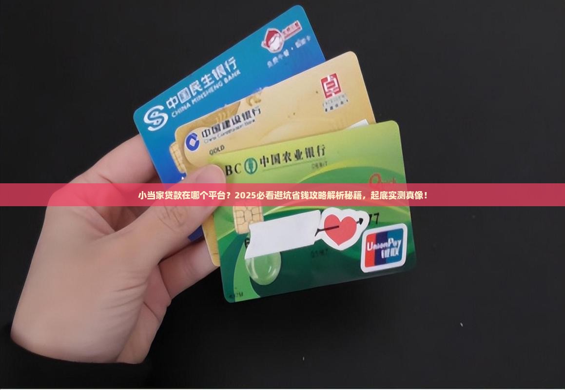 小当家贷款在哪个平台