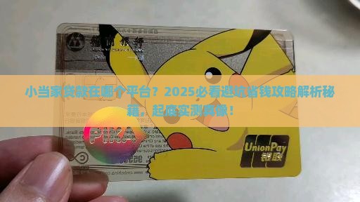 小当家贷款在哪个平台