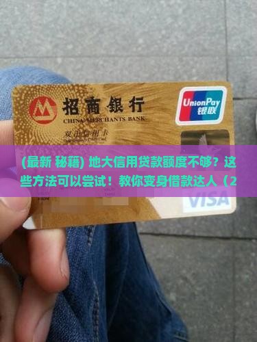 大地信用贷款没额度怎么办