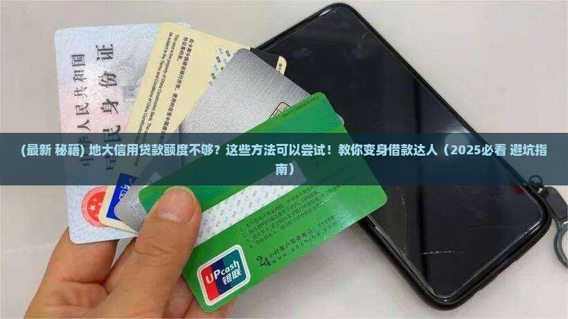 大地信用贷款没额度怎么办