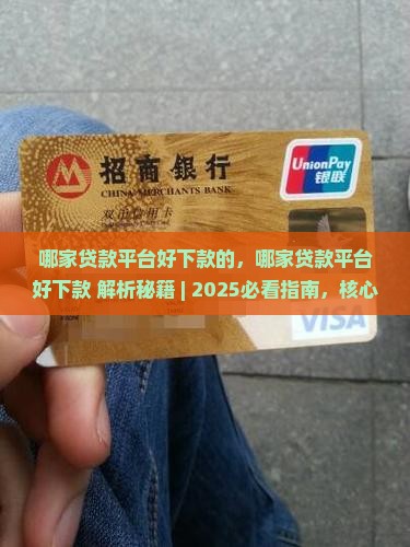 哪家贷款平台好下款的