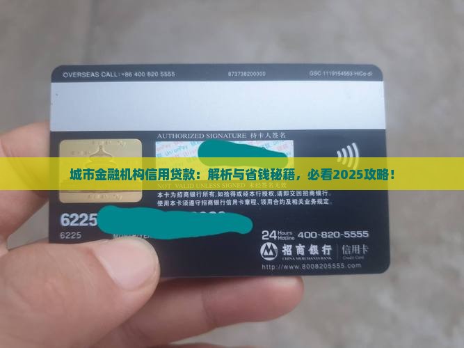 城市金融机构信用贷款