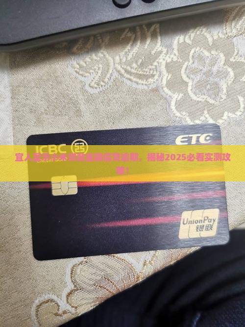 宜人贷显示小米有贷款