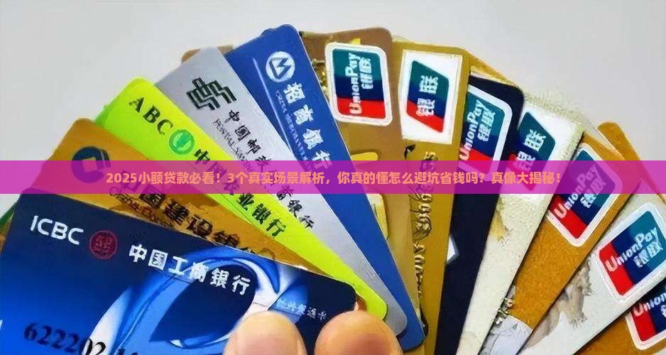 小额贷款麻烦