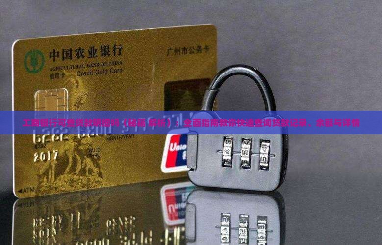 工商银行可查贷款明细吗