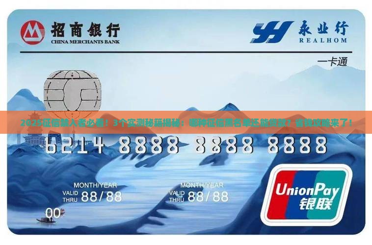哪种征信禁入类可以贷款
