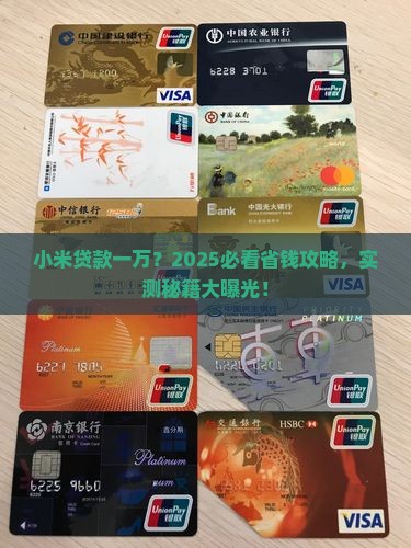 小米贷款一万
