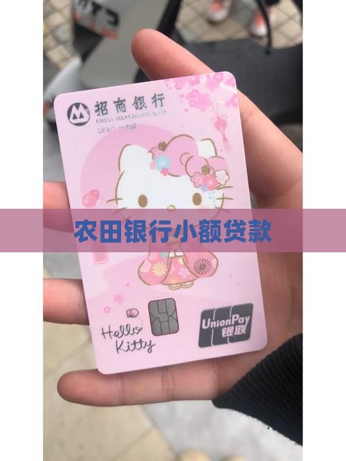 农田银行小额贷款