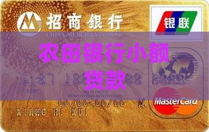 农田银行小额贷款