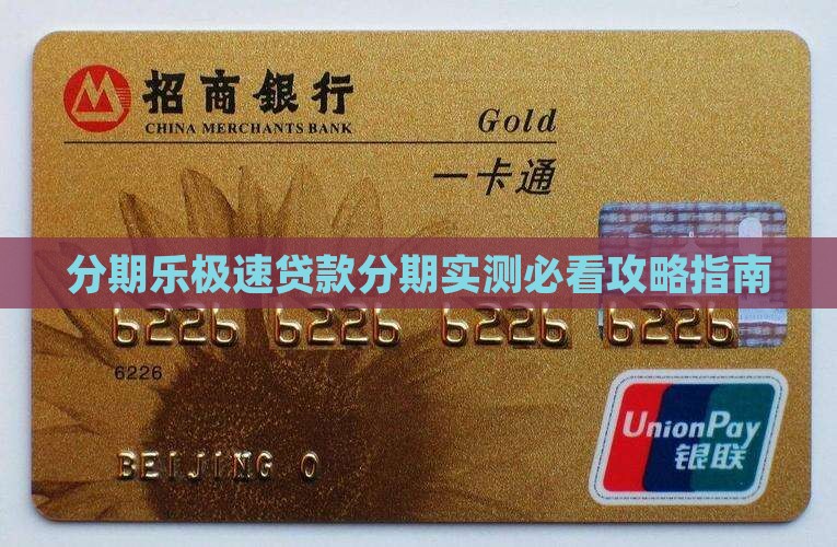 分期乐极速贷款什么样