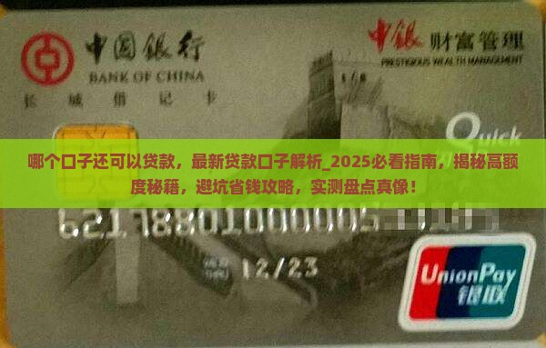 哪个口子还可以贷款