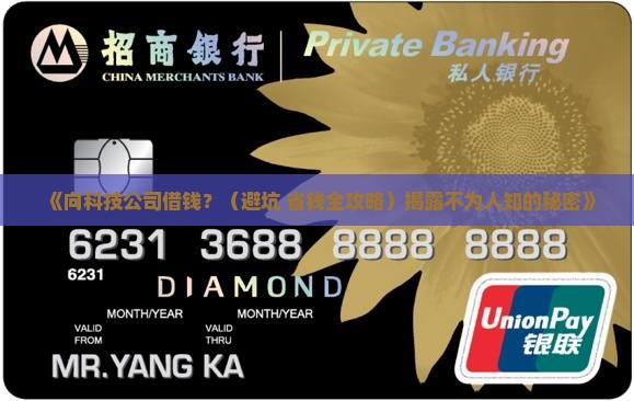 向科技公司贷款