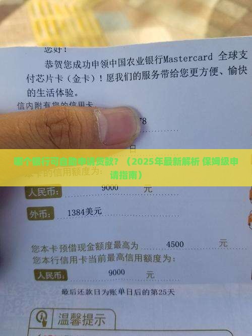 哪个银行可自助申请贷款
