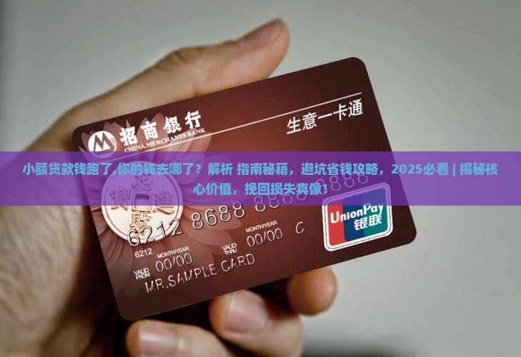 小额贷款钱跑了 小额贷款钱跑了