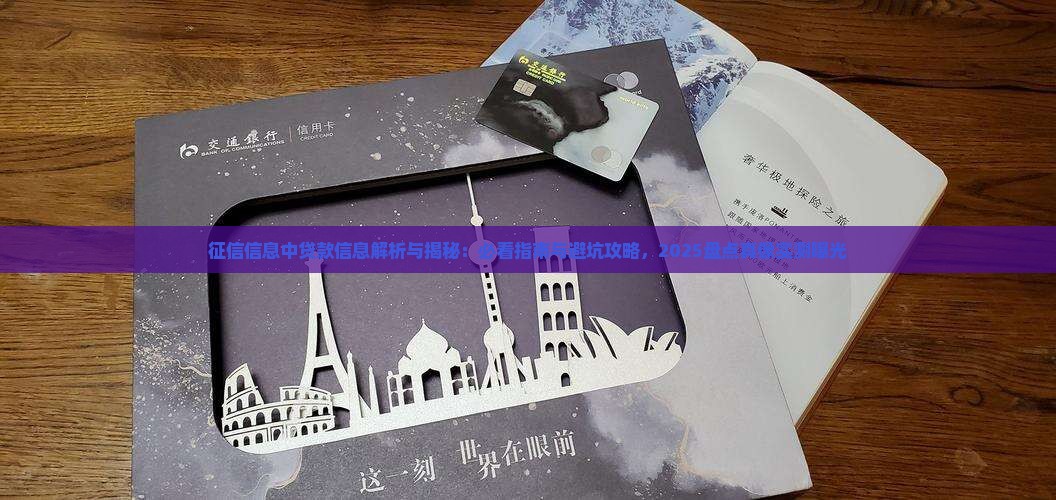 征信信息中贷款信息