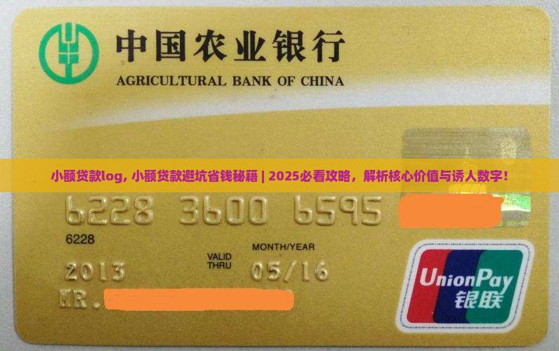 小额贷款log