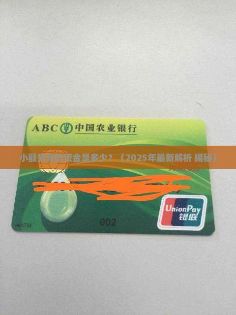 小额贷款的资金是多少钱