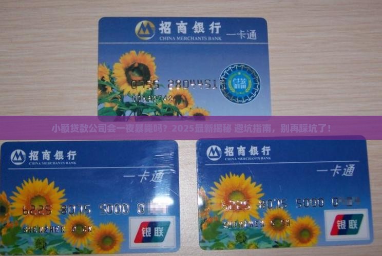 小额贷款会不会倒闭呢