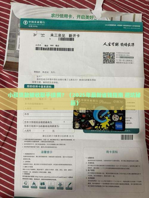 小额贷款被收取手续费