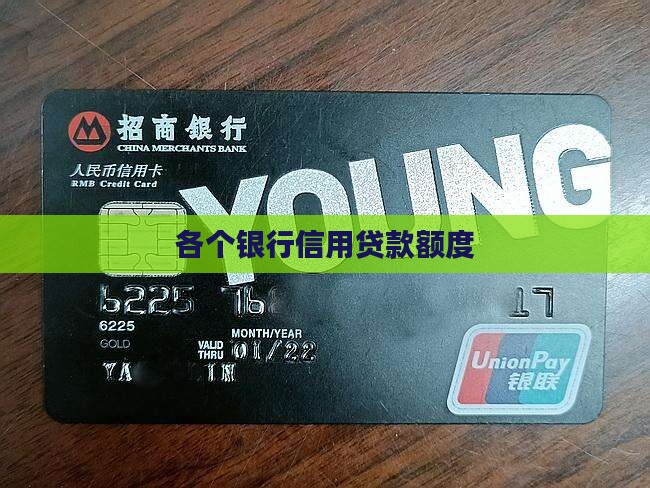 各个银行信用贷款额度