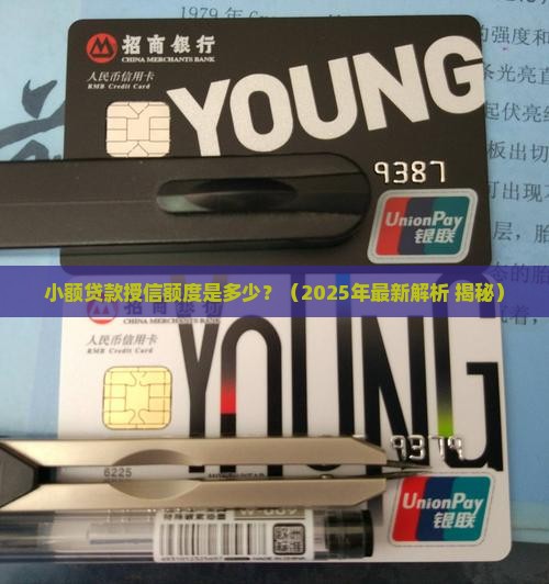 小额贷款授信额度是多少