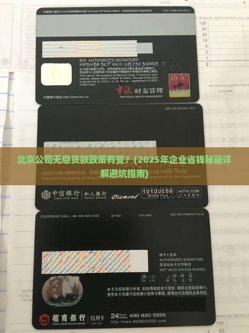 北京公司无息贷款政策最新