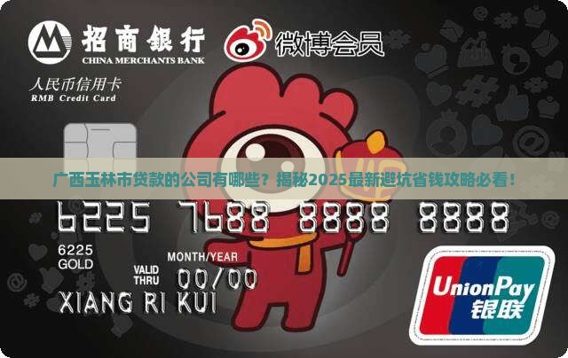 广西玉林市贷款的公司